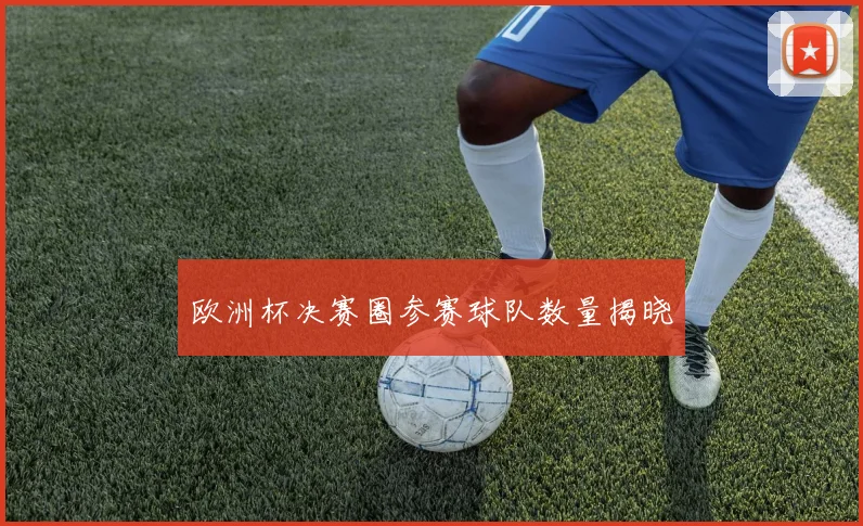 欧洲杯决赛圈参赛球队数量揭晓