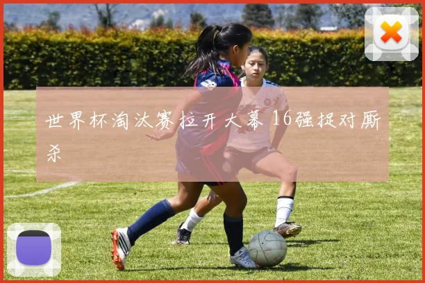 世界杯淘汰赛拉开大幕 16强捉对厮杀