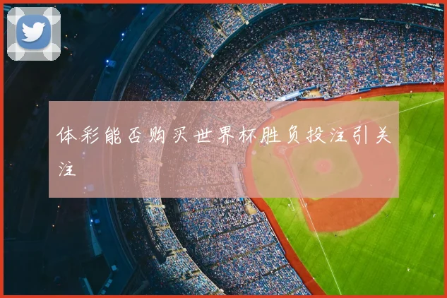 体彩能否购买世界杯胜负投注引关注