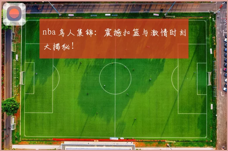 nba鸟人集锦：震撼扣篮与激情时刻大揭秘！