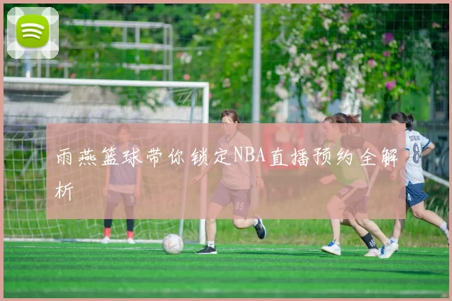 雨燕篮球带你锁定NBA直播预约全解析