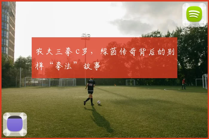 农夫三拳 c罗，绿茵传奇背后的别样“拳法”故事