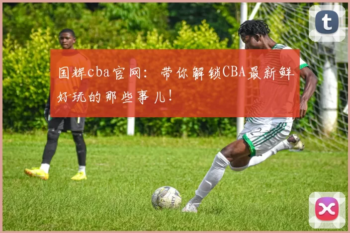 国辉cba官网：带你解锁CBA最新鲜好玩的那些事儿！