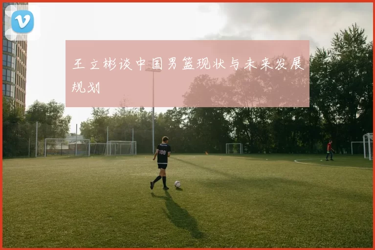 王立彬谈中国男篮现状与未来发展规划